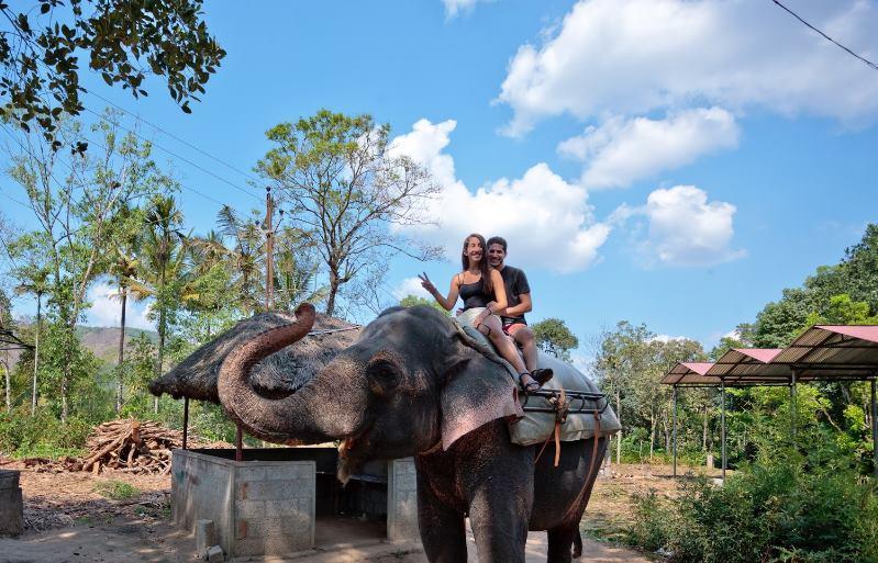 Green Leaf Home Stay Thekkady Εξωτερικό φωτογραφία
