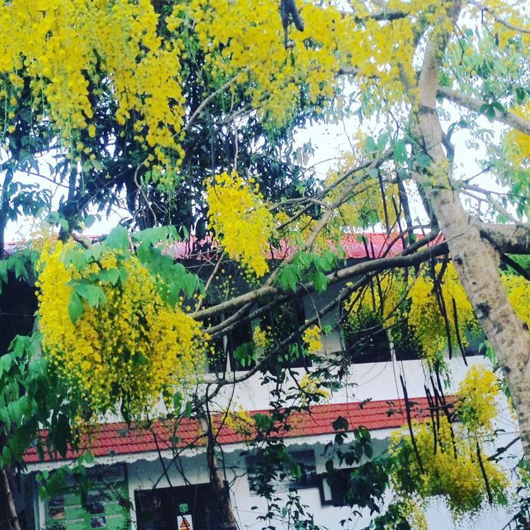 Green Leaf Home Stay Thekkady Εξωτερικό φωτογραφία