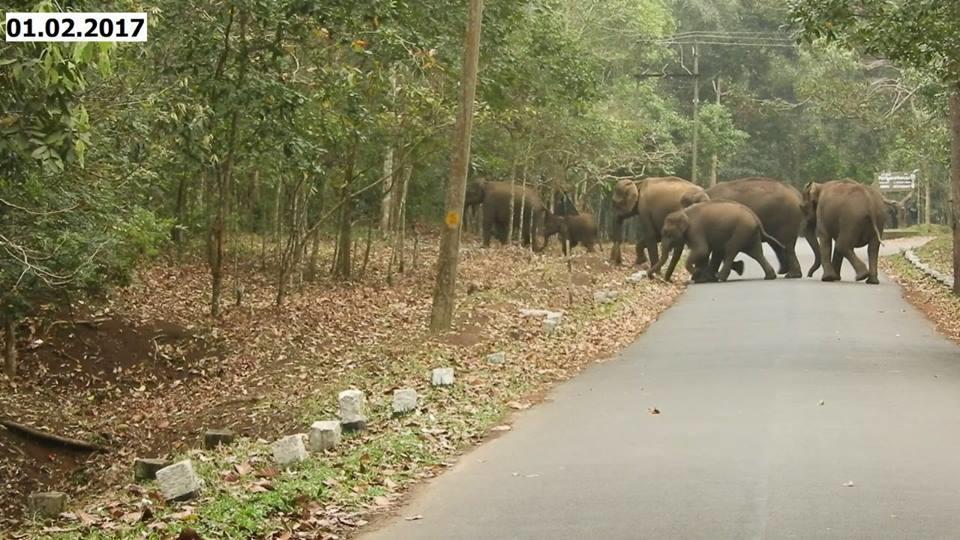 Green Leaf Home Stay Thekkady Εξωτερικό φωτογραφία